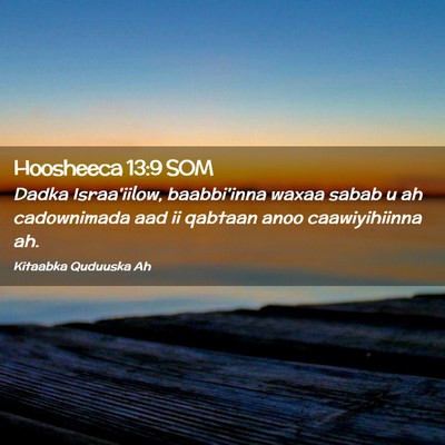 Picture 02 - Hoosheeca 13:9 SOM - Dadka Israa'iilow, baabbi'inna waxaa sabab u ah - Bible Verse Picture