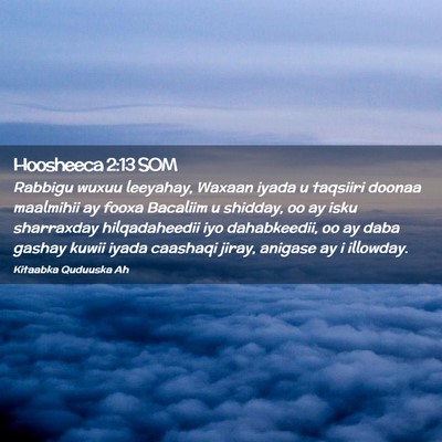 Picture 02 - Hoosheeca 2:13 SOM - Rabbigu wuxuu leeyahay, Waxaan iyada u taqsiiri - Bible Verse Picture
