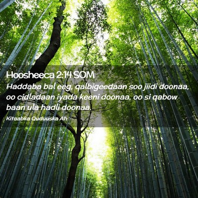 Picture 02 - Hoosheeca 2:14 SOM - Haddaba bal eeg, qalbigeedaan soo jiidi doonaa, - Bible Verse Picture