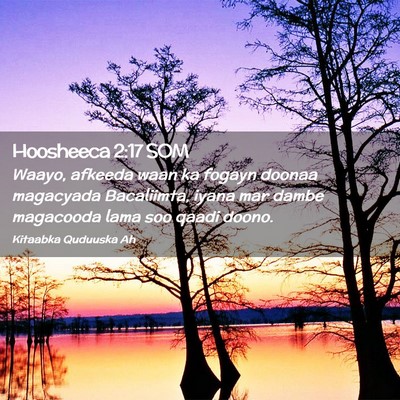 Picture 02 - Hoosheeca 2:17 SOM - Waayo, afkeeda waan ka fogayn doonaa magacyada - Bible Verse Picture