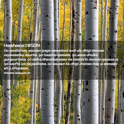 Picture 02 - Hoosheeca 2:18 SOM - Oo maalintaas waxaan iyaga aawadood axdi ula - Bible Verse Picture