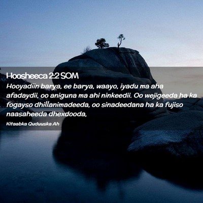 Picture 02 - Hoosheeca 2:2 SOM - Hooyadiin barya, ee barya, waayo, iyadu ma aha - Bible Verse Picture