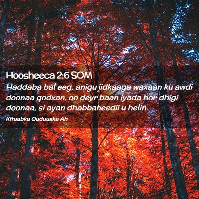 Picture 02 - Hoosheeca 2:6 SOM - Haddaba bal eeg, anigu jidkaaga waxaan ku awdi - Bible Verse Picture