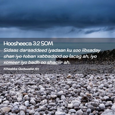 Picture 02 - Hoosheeca 3:2 SOM - Sidaas daraaddeed iyadaan ku soo iibsaday shan - Bible Verse Picture
