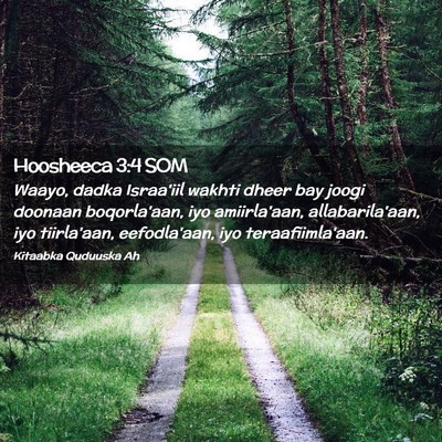 Picture 02 - Hoosheeca 3:4 SOM - Waayo, dadka Israa'iil wakhti dheer bay joogi - Bible Verse Picture