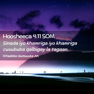 Picture 02 - Hoosheeca 4:11 SOM - Sinada iyo khamriga iyo khamriga cusububa - Bible Verse Picture