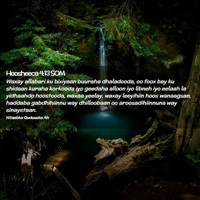 Picture 02 - Hoosheeca 4:13 SOM - Waxay allabari ku bixiyaan buuraha dhaladooda, oo - Bible Verse Picture
