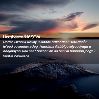 Picture 02 - Hoosheeca 4:16 SOM - Dadka Israa'iil waxay u madax adkaadeen sidii - Bible Verse Picture