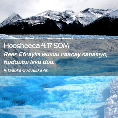 Picture 02 - Hoosheeca 4:17 SOM - Reer Efrayim wuxuu raacay sanamyo, haddaba iska - Bible Verse Picture