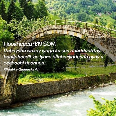 Picture 02 - Hoosheeca 4:19 SOM - Dabayshu waxay iyaga ku soo duudduubtay - Bible Verse Picture