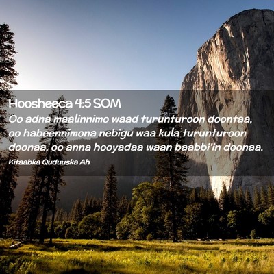 Picture 02 - Hoosheeca 4:5 SOM - Oo adna maalinnimo waad turunturoon doontaa, oo - Bible Verse Picture