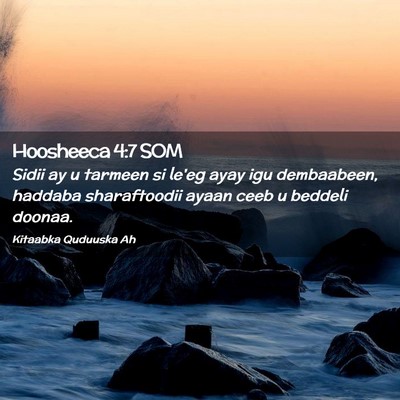 Picture 02 - Hoosheeca 4:7 SOM - Sidii ay u tarmeen si le'eg ayay igu dembaabeen, - Bible Verse Picture