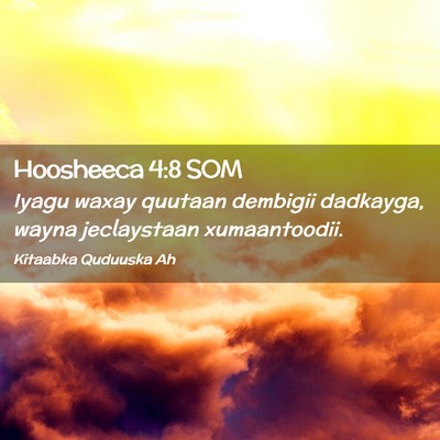 Picture 02 - Hoosheeca 4:8 SOM - Iyagu waxay quutaan dembigii dadkayga, wayna - Bible Verse Picture