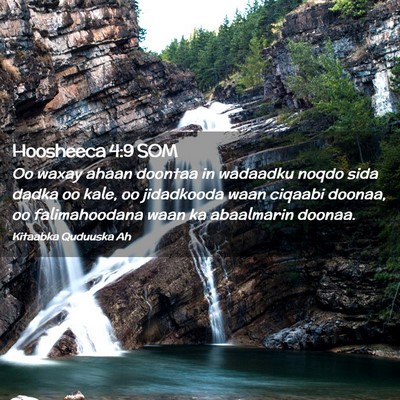 Picture 02 - Hoosheeca 4:9 SOM - Oo waxay ahaan doontaa in wadaadku noqdo sida - Bible Verse Picture
