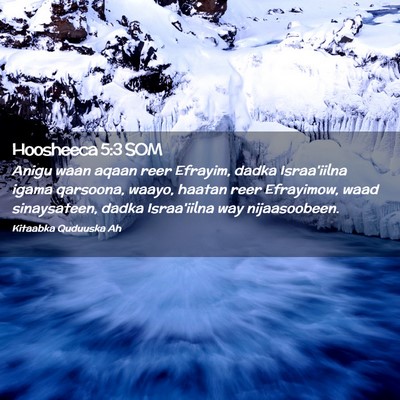 Picture 02 - Hoosheeca 5:3 SOM - Anigu waan aqaan reer Efrayim, dadka Israa'iilna - Bible Verse Picture