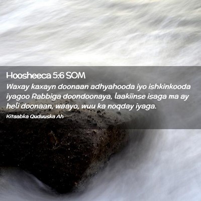 Picture 02 - Hoosheeca 5:6 SOM - Waxay kaxayn doonaan adhyahooda iyo ishkinkooda - Bible Verse Picture