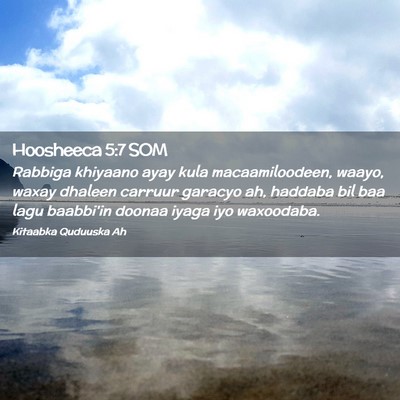 Picture 02 - Hoosheeca 5:7 SOM - Rabbiga khiyaano ayay kula macaamiloodeen, waayo, - Bible Verse Picture