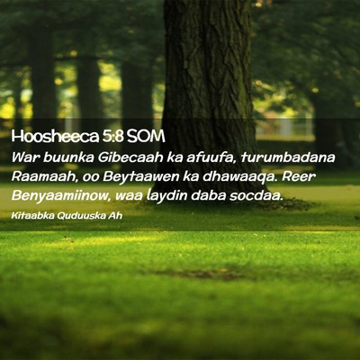 Picture 02 - Hoosheeca 5:8 SOM - War buunka Gibecaah ka afuufa, turumbadana - Bible Verse Picture