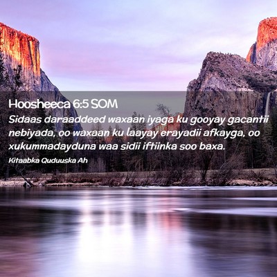 Picture 02 - Hoosheeca 6:5 SOM - Sidaas daraaddeed waxaan iyaga ku gooyay gacantii - Bible Verse Picture