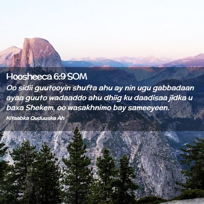 Picture 02 - Hoosheeca 6:9 SOM - Oo sidii guutooyin shufta ahu ay nin ugu - Bible Verse Picture