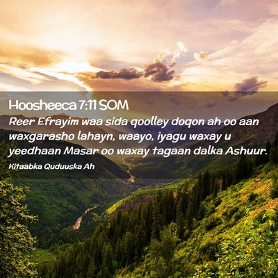 Picture 02 - Hoosheeca 7:11 SOM - Reer Efrayim waa sida qoolley doqon ah oo aan - Bible Verse Picture