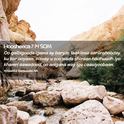 Picture 02 - Hoosheeca 7:14 SOM - Oo qalbigooda igama ay baryin, laakiinse - Bible Verse Picture