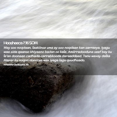 Picture 02 - Hoosheeca 7:16 SOM - Way soo noqdaan, laakiinse uma ay soo noqdaan kan - Bible Verse Picture