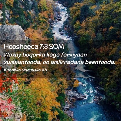 Picture 02 - Hoosheeca 7:3 SOM - Waxay boqorka kaga farxiyaan xumaantooda, oo - Bible Verse Picture