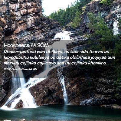 Picture 02 - Hoosheeca 7:4 SOM - Dhammaantood waa dhillayo, oo waa sida foorno uu - Bible Verse Picture