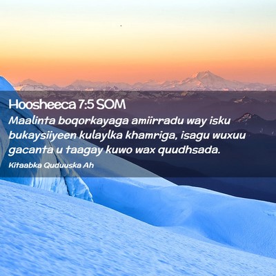 Picture 02 - Hoosheeca 7:5 SOM - Maalinta boqorkayaga amiirradu way isku - Bible Verse Picture