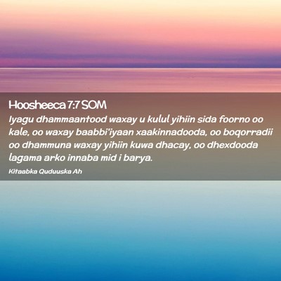 Picture 02 - Hoosheeca 7:7 SOM - Iyagu dhammaantood waxay u kulul yihiin sida - Bible Verse Picture