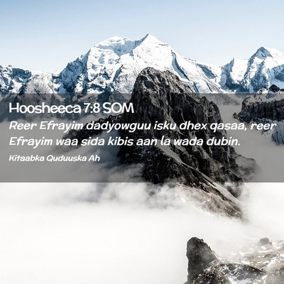 Picture 02 - Hoosheeca 7:8 SOM - Reer Efrayim dadyowguu isku dhex qasaa, reer - Bible Verse Picture