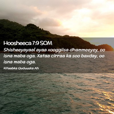 Picture 02 - Hoosheeca 7:9 SOM - Shisheeyayaal ayaa xooggiisa dhammeeyey, oo isna - Bible Verse Picture