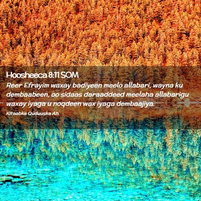 Picture 02 - Hoosheeca 8:11 SOM - Reer Efrayim waxay badiyeen meelo allabari, wayna - Bible Verse Picture