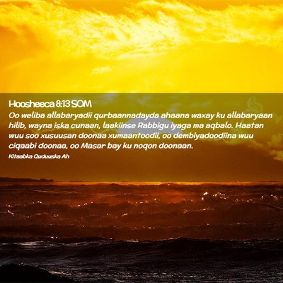 Picture 02 - Hoosheeca 8:13 SOM - Oo weliba allabaryadii qurbaannadayda ahaana - Bible Verse Picture