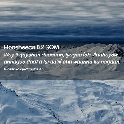Picture 02 - Hoosheeca 8:2 SOM - Way ii qayshan doonaan, iyagoo leh, Ilaahayow, - Bible Verse Picture