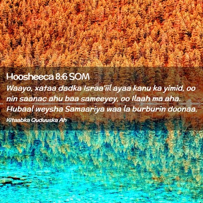 Picture 02 - Hoosheeca 8:6 SOM - Waayo, xataa dadka Israa'iil ayaa kanu ka yimid, - Bible Verse Picture