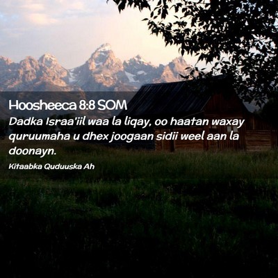 Picture 02 - Hoosheeca 8:8 SOM - Dadka Israa'iil waa la liqay, oo haatan waxay - Bible Verse Picture