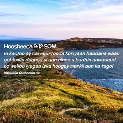 Picture 02 - Hoosheeca 9:12 SOM - In kastoo ay carruurtooda koriyaan haddana waan - Bible Verse Picture