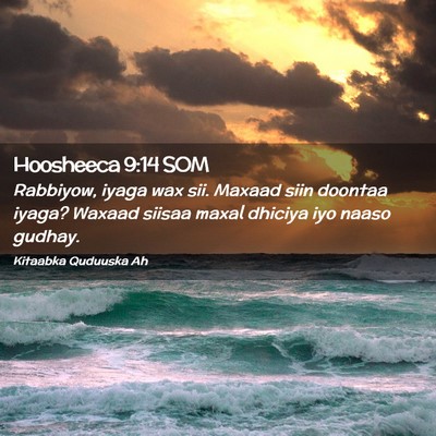 Picture 02 - Hoosheeca 9:14 SOM - Rabbiyow, iyaga wax sii. Maxaad siin doontaa - Bible Verse Picture