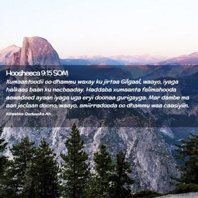 Picture 02 - Hoosheeca 9:15 SOM - Xumaantoodii oo dhammu waxay ku jirtaa Gilgaal, - Bible Verse Picture