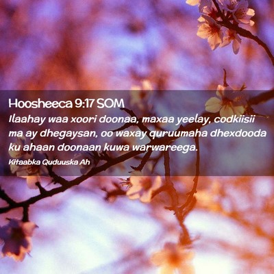 Picture 02 - Hoosheeca 9:17 SOM - Ilaahay waa xoori doonaa, maxaa yeelay, codkiisii - Bible Verse Picture