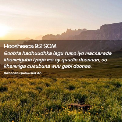 Picture 02 - Hoosheeca 9:2 SOM - Goobta hadhuudhka lagu tumo iyo macsarada - Bible Verse Picture