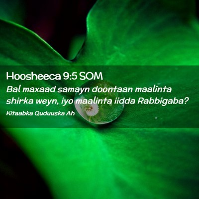 Picture 02 - Hoosheeca 9:5 SOM - Bal maxaad samayn doontaan maalinta shirka weyn, - Bible Verse Picture