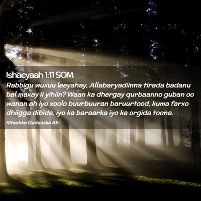Picture 02 - Ishacyaah 1:11 SOM - Rabbigu wuxuu leeyahay, Allabaryadiinna tirada - Bible Verse Picture