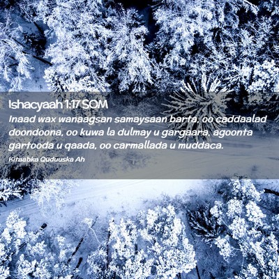 Picture 02 - Ishacyaah 1:17 SOM - Inaad wax wanaagsan samaysaan barta, oo caddaalad - Bible Verse Picture