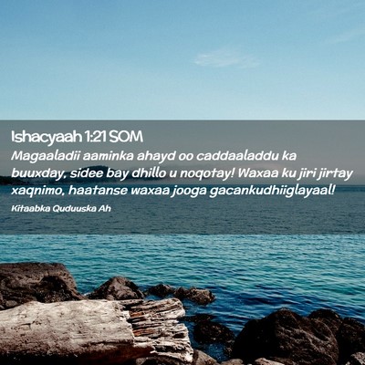 Picture 02 - Ishacyaah 1:21 SOM - Magaaladii aaminka ahayd oo caddaaladdu ka - Bible Verse Picture