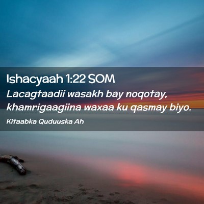 Picture 02 - Ishacyaah 1:22 SOM - Lacagtaadii wasakh bay noqotay, khamrigaagiina - Bible Verse Picture