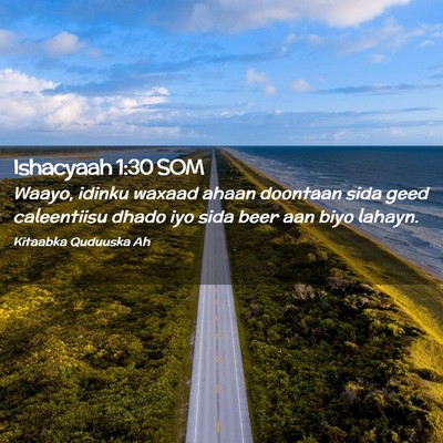 Picture 02 - Ishacyaah 1:30 SOM - Waayo, idinku waxaad ahaan doontaan sida geed - Bible Verse Picture