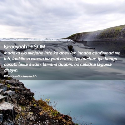 Picture 02 - Ishacyaah 1:6 SOM - Madaxa iyo minjaha inta ka dhex leh innaba - Bible Verse Picture